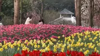 重庆文化之旅：南山植物园