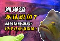 海洋馆不认识鱼？锐评北京海洋馆淡水篇！