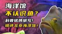 海洋馆不认识鱼？锐评北京海洋馆淡水篇！