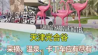 火烈鸟港湾酒店、动物科学王国、70多种室内外温泉泡池、无公害果蔬采摘、丛林探险、卡丁车……点亮假期，乐享生活，这个假期别留遗憾，出发天津光合谷！