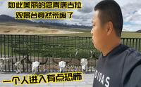 川进青出途径唐古拉山，美丽的观景台竟荒废了！里面还摆放牦牛头骨，黑漆漆的挺吓人！