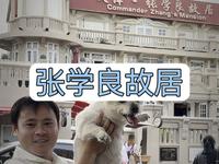 拒绝废话4分钟带你走进天津少帅府，张学良一生到底是功是过？#张学良故居 #天津旅游攻略 #918