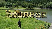 暑假游玩重庆主城最大的天然氧吧——武陵山森林公园（续集）