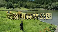 暑假游玩重庆主城最大的天然氧吧——武陵山森林公园（续集）