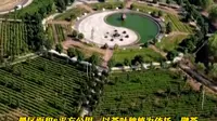 谷城玉皇剑茶园景区被评为国家3A级旅游景区