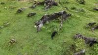 铜鼓荡素材