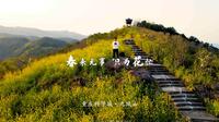 重庆大学城周边春季打卡好去处：金凤九凤山，看花赏景观日落
