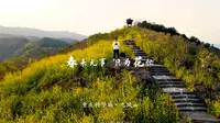 重庆大学城周边春季打卡好去处：金凤九凤山，看花赏景观日落