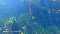 这才是真正的玩水圣地-广西九顿天窗。