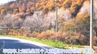 河南三门峡市穿过甘山国家森林公园的省道要被收费了？是真还是假