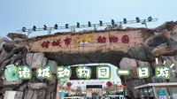 潍坊诸城动物园一日游