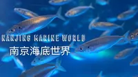 南京海底世界