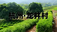 杭州龙井村超详细旅行攻略（上）西湖龙井发源地，龙井村茶园梯田来啦！