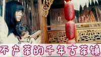 临涣古镇延续3000多年，不产茶却以茶著称，是一座活着的古城