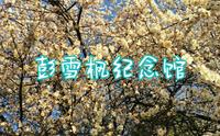 彭雪枫纪念馆