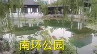 郑州南环公园，江南园林美景，遛娃好去处