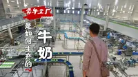 在中国乳都参观蒙牛工厂，刷新了我对牛奶生产的认知，另外车间工人都去哪了