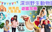 【港人遊深圳動物園】【深圳親子遊】深圳一日遊 深圳好去处 2023 駕駱駝 餵獅子 水母 美人魚 豬仔餵奶 斑馬 草泥馬 大象 猩猩 黑熊 馬戲 鯊魚 電動車
