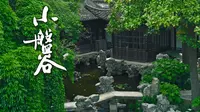扬州小众私家园林，保留沧桑味道的风景 丨 扬州 小盘谷 初夏绿荫丨 8K看世界 丨 佳能R5C 8K RAW 细腻画质