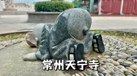 常州天宁寺，一个视频带诸位看完门票登塔70元的寺院里都有什么