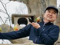 合肥野生动物园，跟鹦鹉们来一场亲密接触