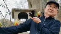 合肥野生动物园，跟鹦鹉们来一场亲密接触