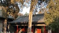山西古建之窦大夫祠