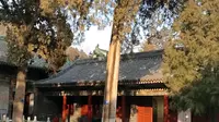 山西古建之窦大夫祠