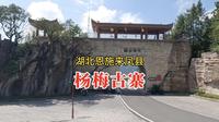 杨梅古寨，湖北恩施来凤县的土家族村寨，来杨梅之乡看千年杨梅树