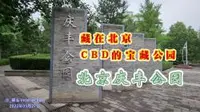 北京庆丰公园，藏在北京CBD的宝藏公园
