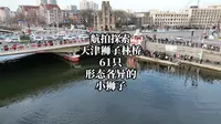 航拍探索天津的狮子林桥61只形态各异的小狮子