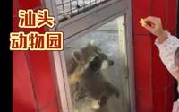 打卡汕头动物园！门票便宜 动物种类比较多！