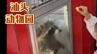 打卡汕头动物园！门票便宜 动物种类比较多！