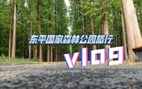 某高中生上海东平国家森林公园旅行vlog（麻烦大家多多点赞转发）