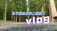 某高中生上海东平国家森林公园旅行vlog（麻烦大家多多点赞转发）