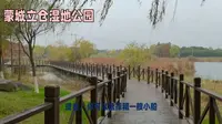 旅游攻略-蒙城立仓湿地公园