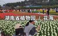 长沙 | 湖南省植物园