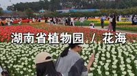长沙 | 湖南省植物园