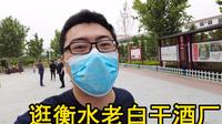 周末参观衡水老白干酒厂，4A级景区逛了一上午，有吃有喝非常充实