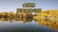 金湖杨国家森林公园 泽普的5A景点 第一个站点风景最好
