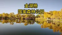 金湖杨国家森林公园 泽普的5A景点 第一个站点风景最好