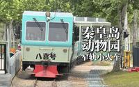 【交通/铁路/秦皇岛】动物园里的内燃窄轨！秦皇岛野生动物园窄轨小火车记录