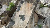 内蒙赤峰砧子山古岩画