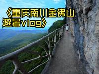 重庆避暑好去处：南川金佛山