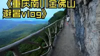 重庆避暑好去处：南川金佛山