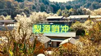 梨源哨冲