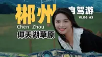 千万不要夏天来郴州仰天湖草原！！