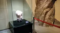 鬼斧神工，无锡中华赏石园