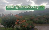 阴天去了趟湖南省植物园丨长沙游玩vlog丨就是玩儿#36
