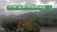 阴天去了趟湖南省植物园丨长沙游玩vlog丨就是玩儿#36